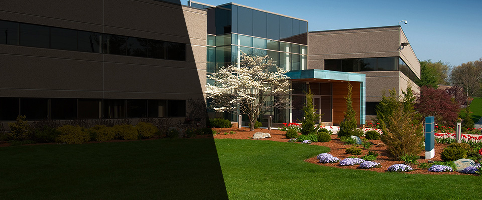 Lebanon Junction Landscapers