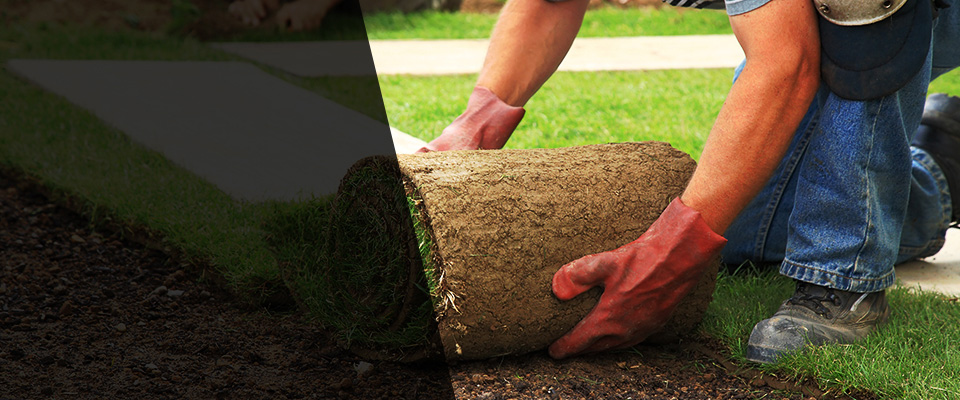 Lebanon Junction Landscapers